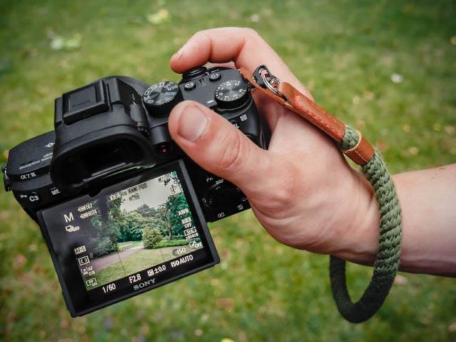 Composition photographique : organiser le cadre pour guider le regard