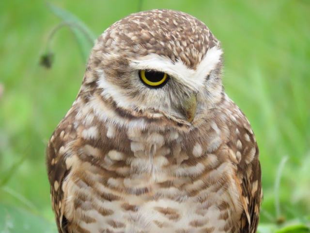 Formation photographe : guide des cursus