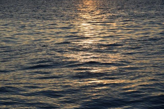 La lumière en photographie : qualité, direction et couleur La lumière en photographie : qualité, direction et couleur